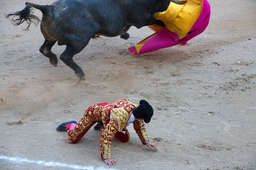 Novillero Paco Chaves looked behind him as the bull had carried away his capote